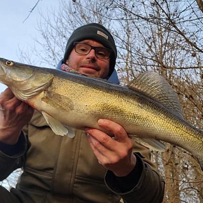 2025 / Christoph Röckl / Zander / Waldnaab / 62 cm